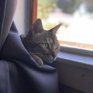 Meet your Posher, Catherine